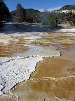 Yellowstone Mammoth Hotsprings (62).JPG